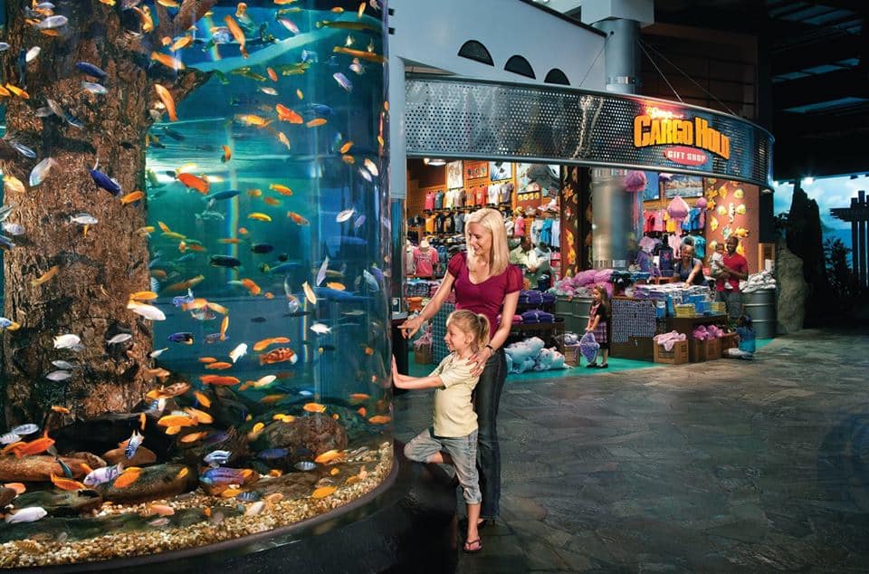 Ripley's Aquarium Myrtle Beach Coupons Ripley's Aquarium