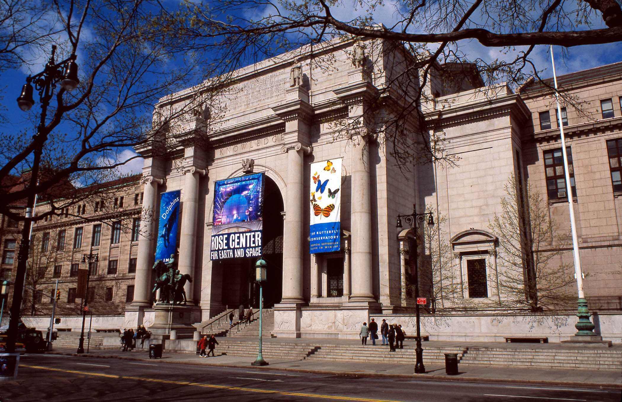 American Museum Natural History 2 