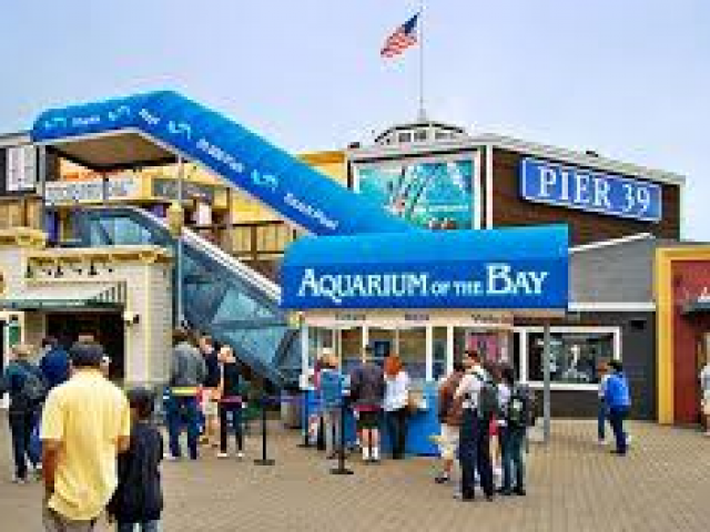 Aquarium of the Bay San Francisco Coupons - Aquarium Of The Bay 4 640x480 C