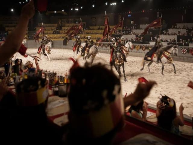 medieval times chicago promo codes