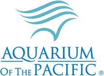 pacific beach hotel oceanarium coupon