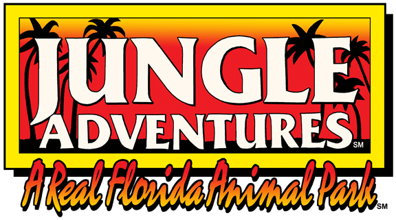 jungle java coupon jungle java coupon
