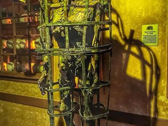 Medieval Torture Museum St Augustine Coupons