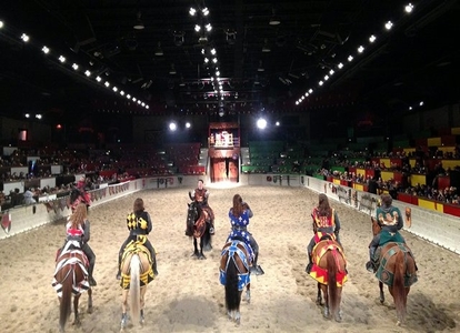 medieval times chicago phone number