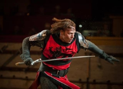 medieval times chicago black and white knights