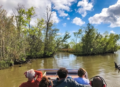 Swamp Tours