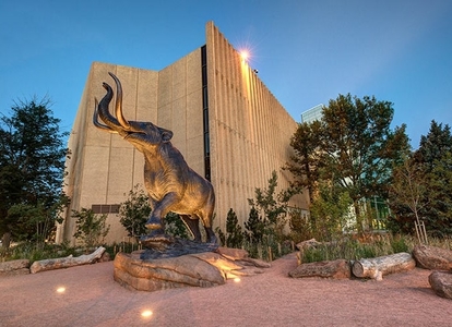 denver museum of nature and science collections