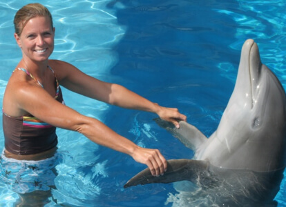 Dolphin Swim Adventure Panama City Beach Coupons - Travelin' Coupons