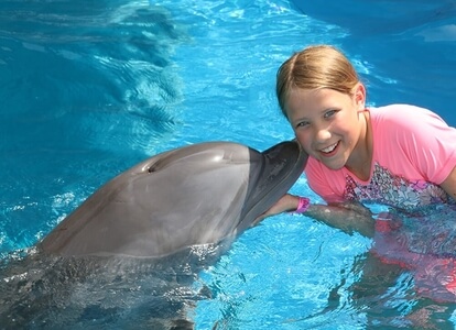 Dolphin Swim Adventure Panama City Beach Coupons - Travelin' Coupons