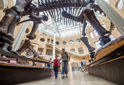 Fernbank Museum of Natural History Coupons