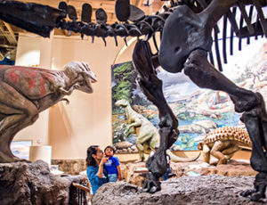 Fernbank Museum of Natural History Coupons