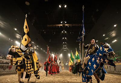 Medieval Times Atlanta Coupons