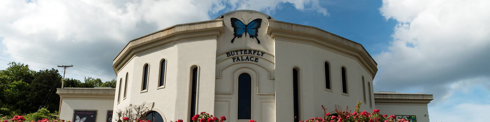 Butterfly Palace Rainforest Adventure Branson Coupons