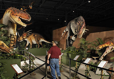 Dinosaur Museum Branson Coupons