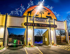 Let There Be Lights Promised Land Zoo Coupons