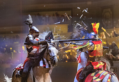 Medieval Times Dinner Tournament Maryland Coupons