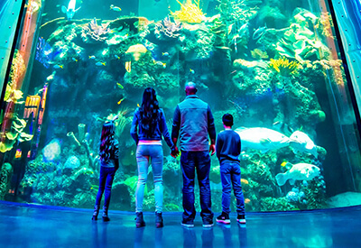 Wonders of Wildlife National Museum Aquarium Coupons