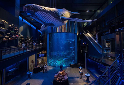 Wonders of Wildlife National Museum Aquarium Coupons