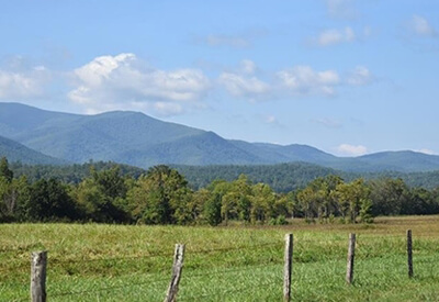 Cades Cove Bus Tour Coupons