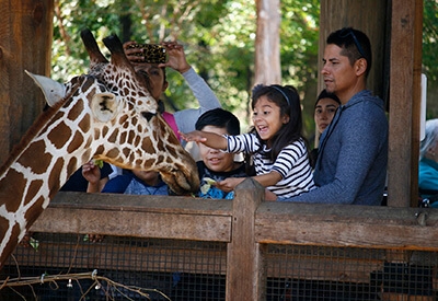 Dallas Zoo Coupons