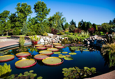 Denver Botanic Gardens Coupons