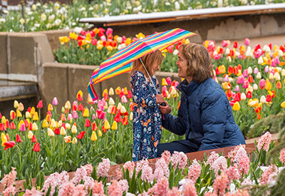 Denver Botanic Gardens Coupons