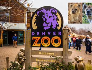Denver Zoo Coupons