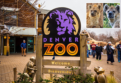 Denver Zoo Coupons