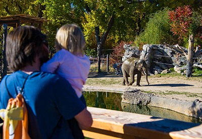 Denver Zoo Coupons