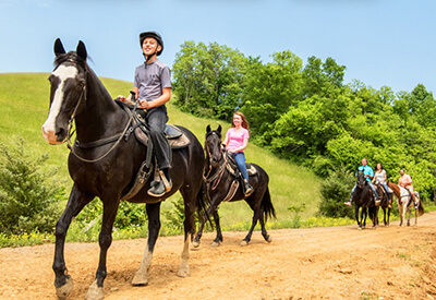 Five Oaks Riding Stables Coupons