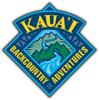 Hawaii Mountain Tubing Adventure Tour Coupons