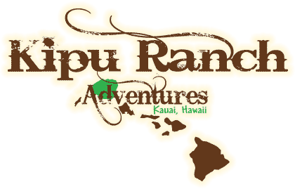 Kipu Ranch ATV Expedition Waterfall Swim Coupons