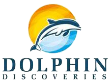 Manta Discovery Adventure Nighttime Snorkel Coupons