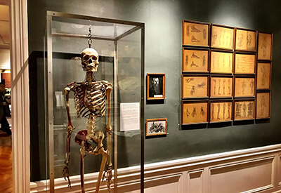 Museum of Surgical Science Coupons