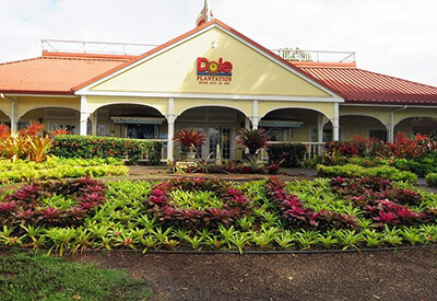 Oahu Grand Circle Island Tour Dole Plantation Coupons