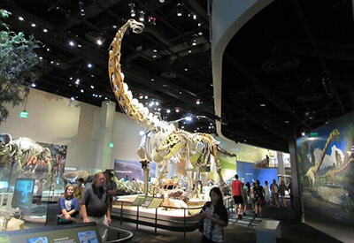 Perot Museum of Nature and Science Coupons