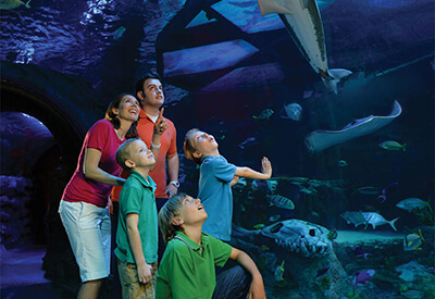 Sea Life Grapevine Coupons