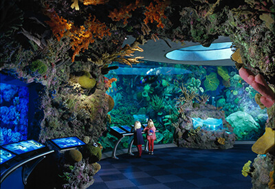 Shedd Aquarium Coupons