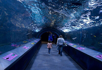 Shedd Aquarium Coupons