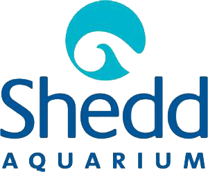 Shedd Aquarium Coupons