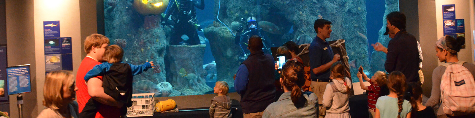 South Carolina Aquarium Coupons