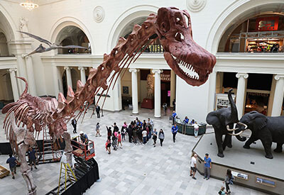 The Field Museum Coupons