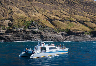 Voyage Niihau Na Pali Coast Snorkel Cruise Coupons