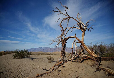 Adventure Photo Death Valley Tours Coupons