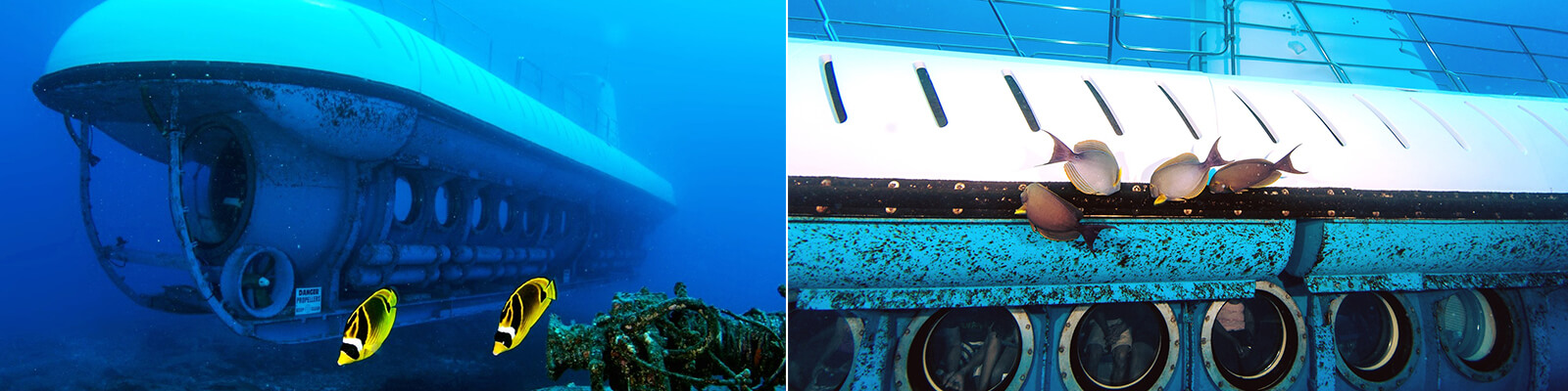 Atlantis Adventures Submarine Tours Maui Coupons