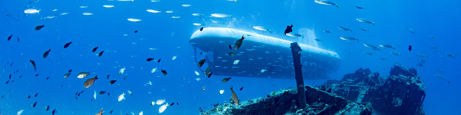 Atlantis Submarines Oahu Waikiki Coupons