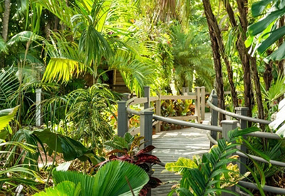 Audubon House and Tropical Gardens Coupons