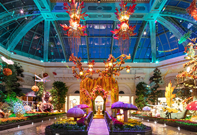 Bellagio Conservatory Coupons