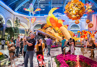 Bellagio Conservatory Coupons