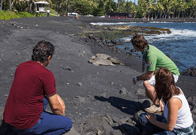 Big Island Grand Circle Volcano Tour Coupons